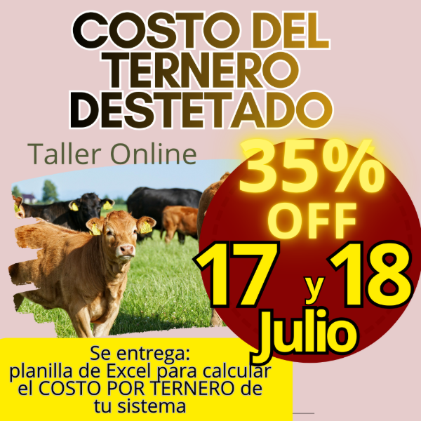 Producto - Taller Online: Costo del Ternero