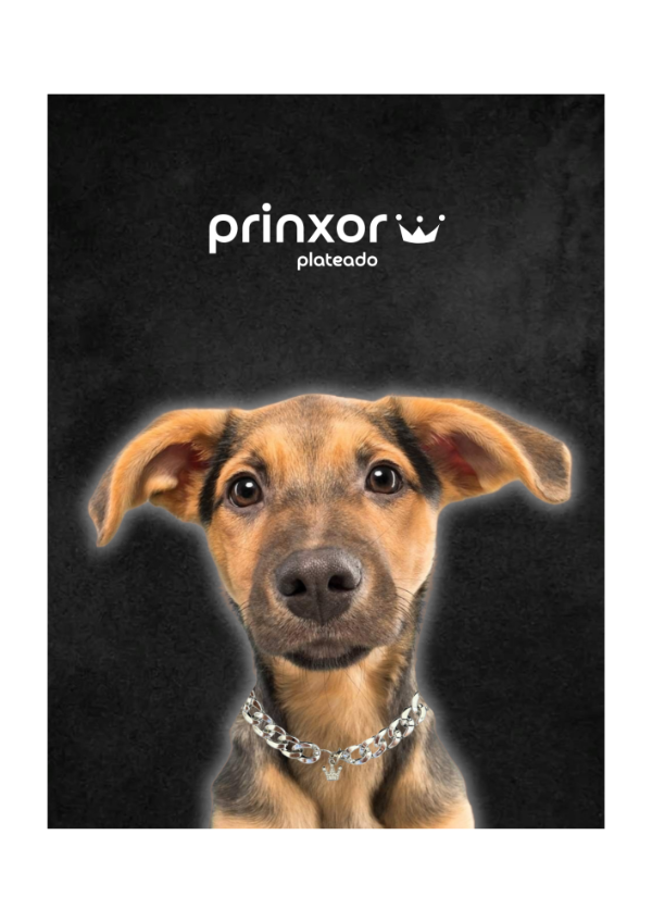 Producto - Prinxor Plateado
