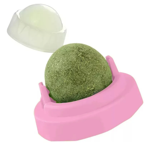 Producto - Hierba Gatera Giratoria