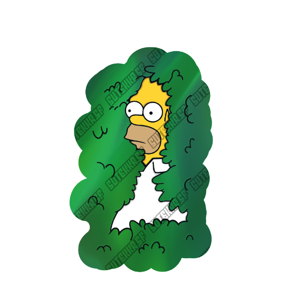 Producto - Homero Arbusto