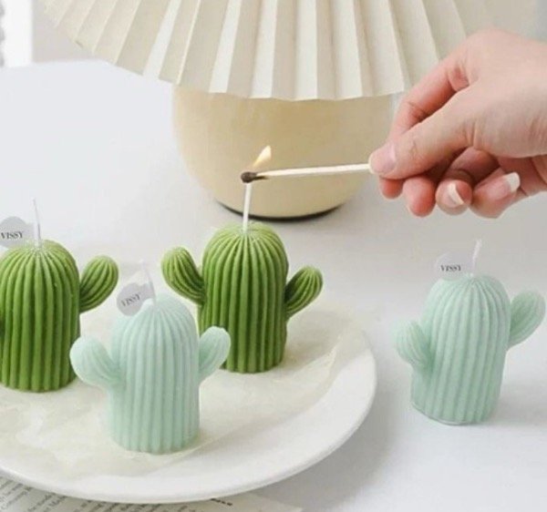 Producto - MOLDE SILICONA CACTUSS