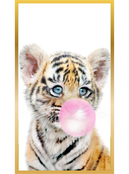 Producto - Cuadro Lion Fun