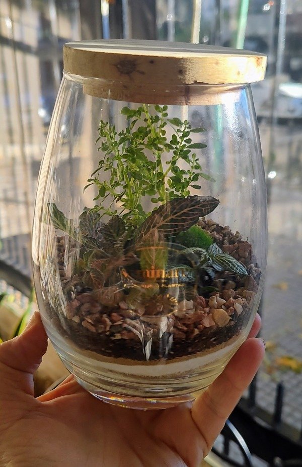 Producto - Terrario Lila con tapa de madera