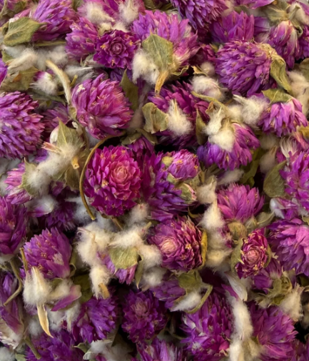 Producto - Siempre Viva Flor Estándar
