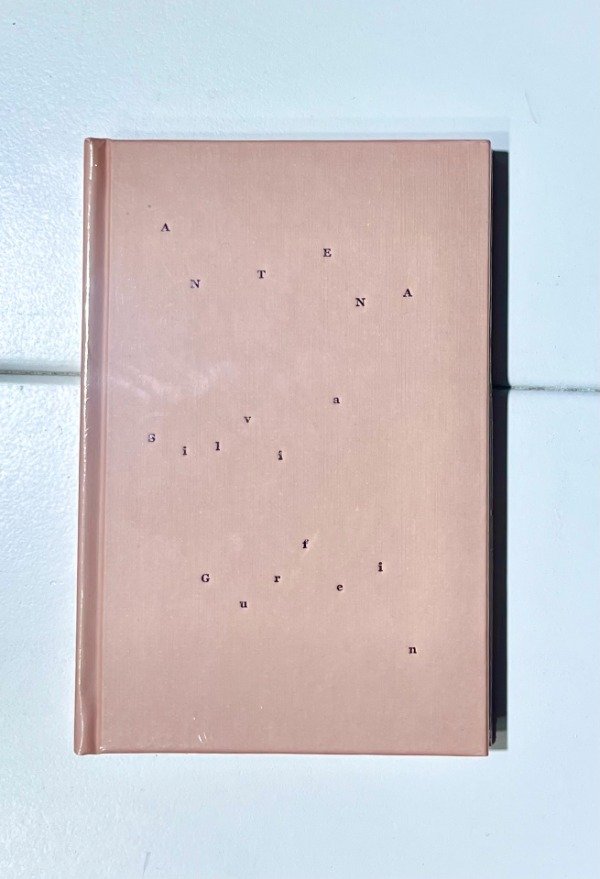 Producto - Silvia Gurfein - Antena