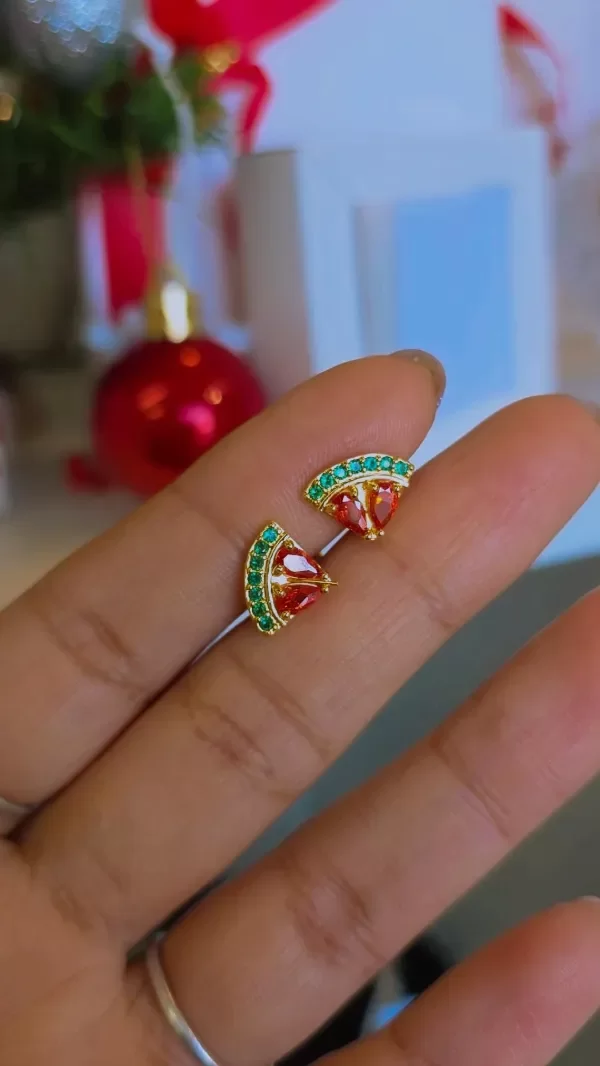 Producto - Aros sandia AD