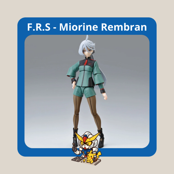 Producto - Miorine Rembran