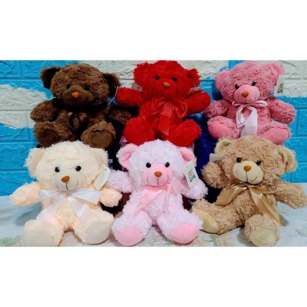 Producto - Peluche oso colores 22cm