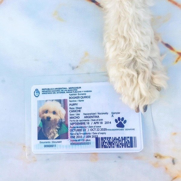 Producto - DNI Mascota