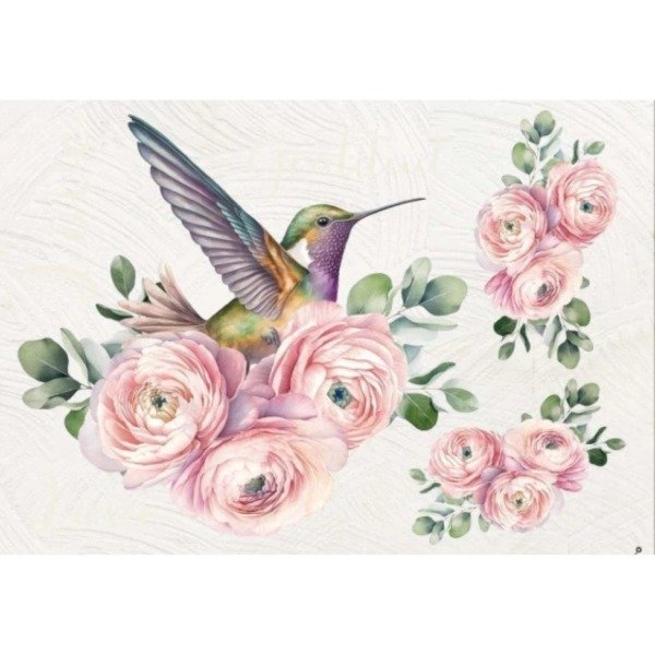 Producto - Colibri 030