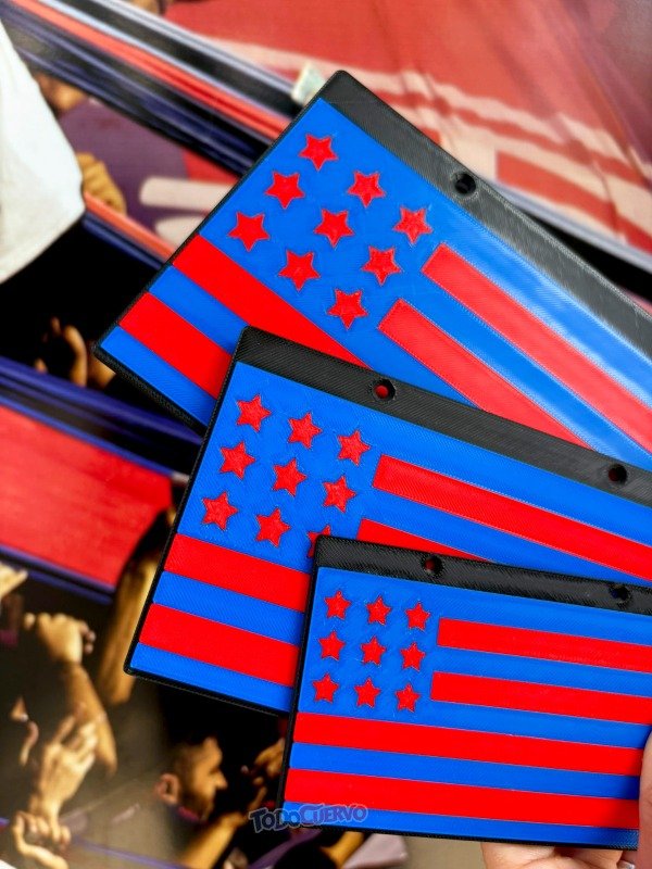 Producto - PLACA BANDERA FUNDACIONAL SAN LORENZO 3D