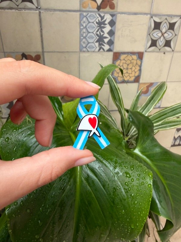 Producto - Pin Escarapela Pañuelo