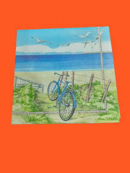 Producto - Servilleta 120