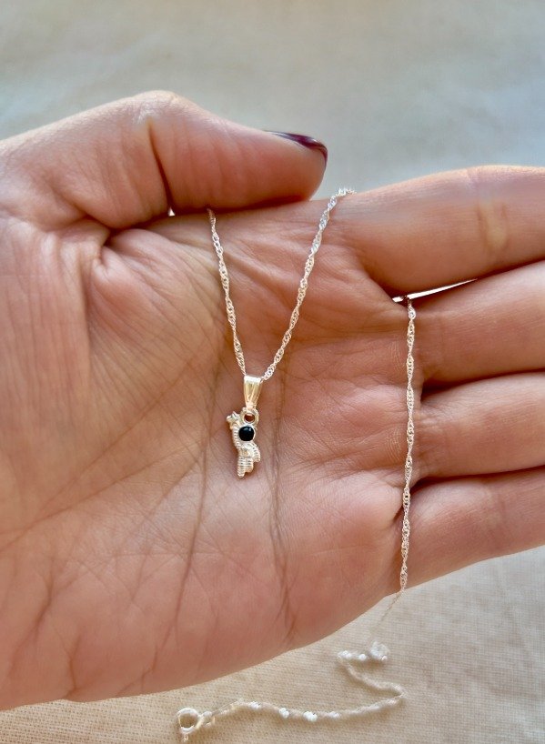 Producto - Dije Astro