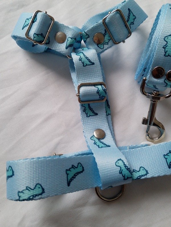 Producto - Conjunto Dino Baby Blue - 6