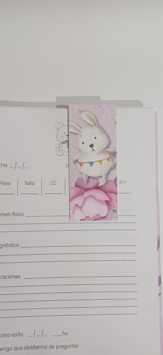 Producto - Cuaderno Pediatrico Conejito Vintage - 11