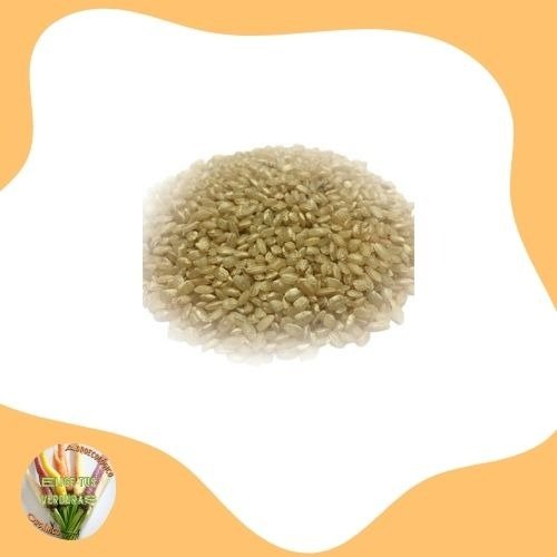 Producto - Arroz Yamaní integral