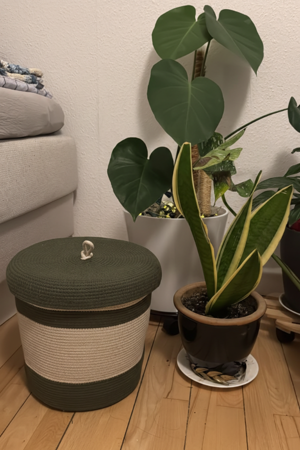 Producto - AUSTIN CON TAPA