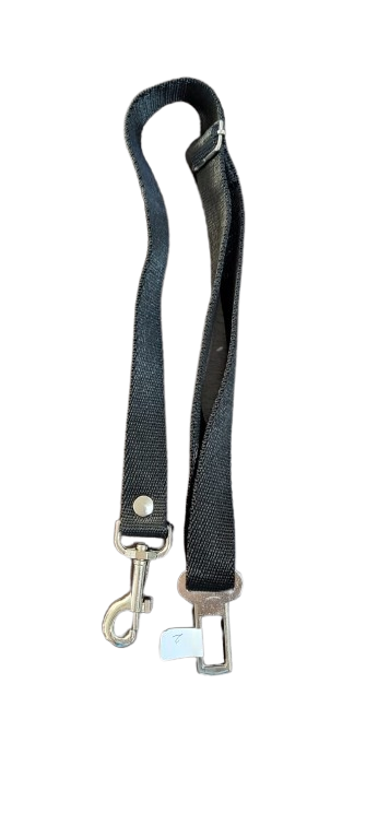 Producto - CINTURON DE SEGURIDAD