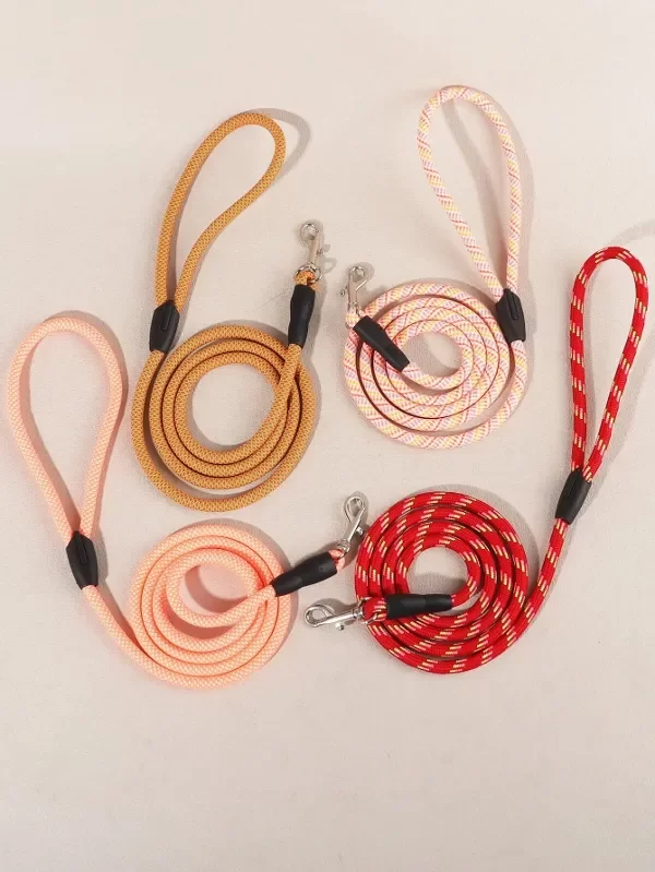 Producto - Correas.