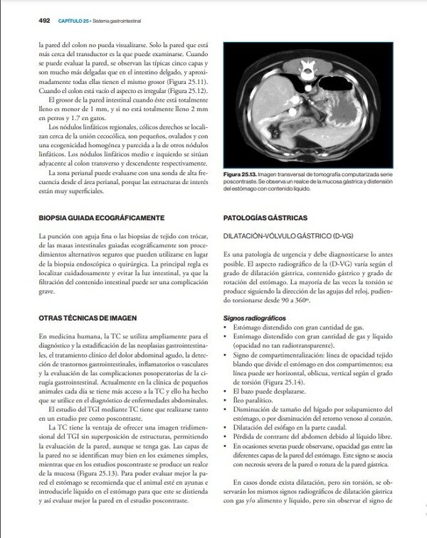 Producto - Agut: Diagnóstico por Imagen en Pequeños Animales, 2da - 9