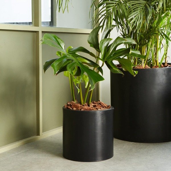 Producto - Maceta Bahia Bonita Rotomoldeada 30cm