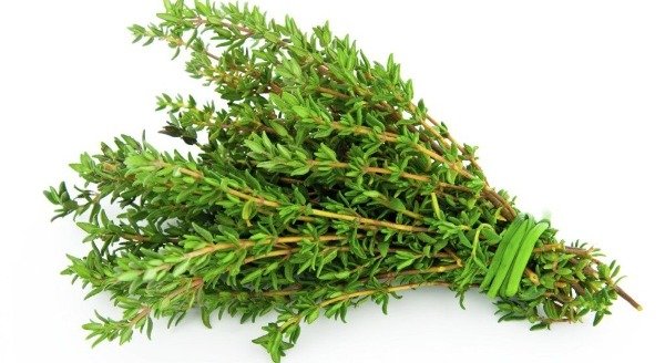 Producto - TOMILLO (ATADO)
