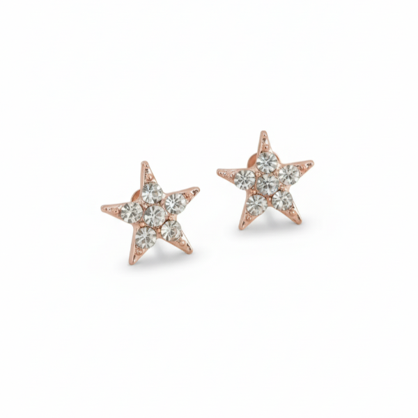 Producto - Aros Estrella Cubic