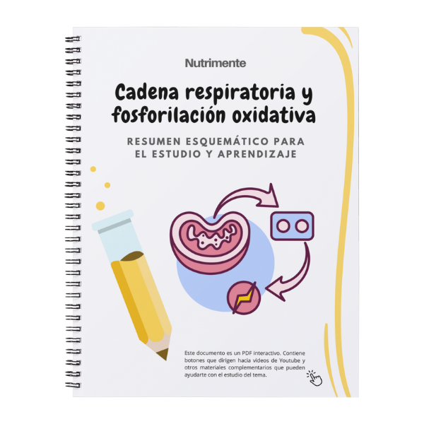 Producto - Guía Cadena Respiratoria y Fosforilación Oxidativa