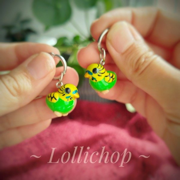 Producto - Aros Cotorras Australianas verded