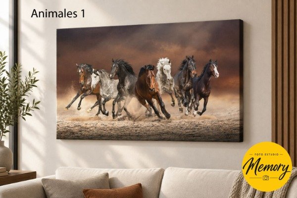 Producto - Cuadro Animales - Elegí tu diseño - 2