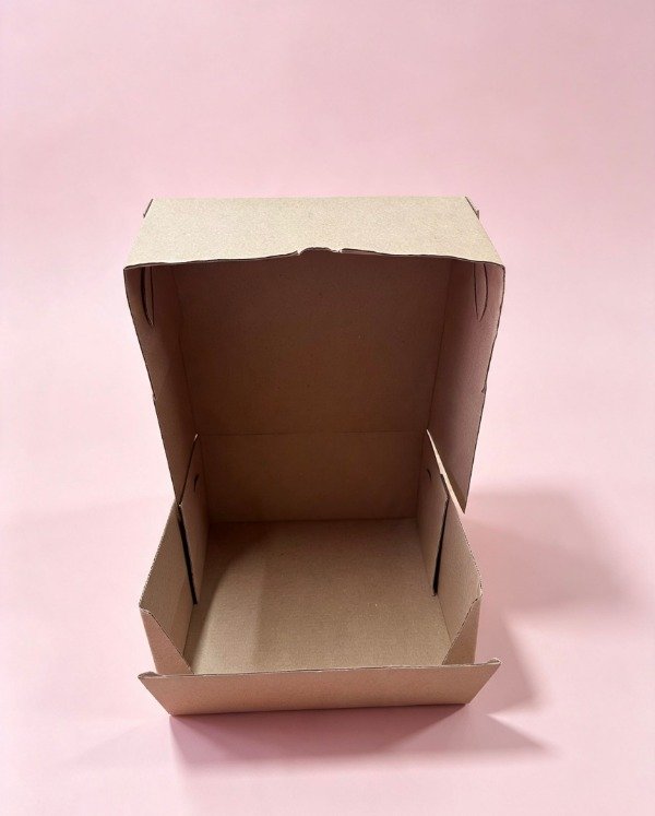 Producto - BOX MICRO T/BISAGRA -COD.1306  20X10X20 - 2