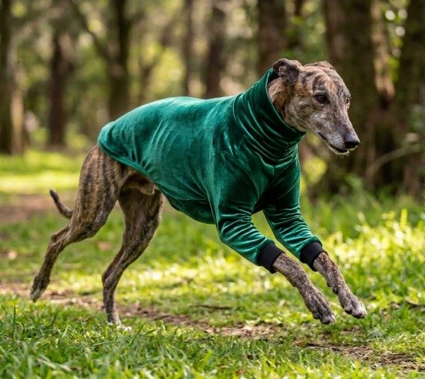 Producto - Buzo Galgos PLUSH - 0