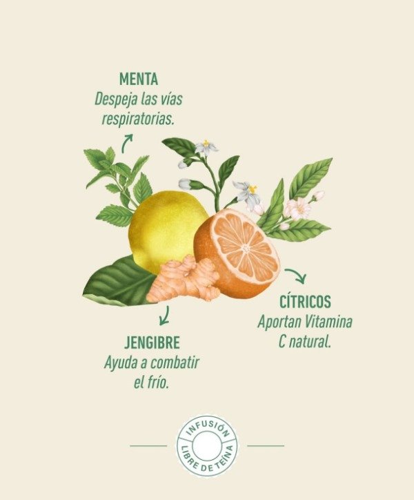 Producto - Infusion Jengibre, Menta, Naranja y Limón libre de Teína - 1