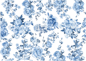 Producto - ROSEBLU 1 A4