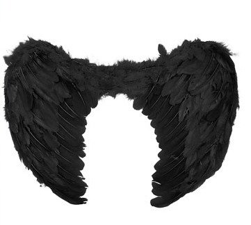 Producto - ALAS DE ANGEL CON PLUMAS NEGRA 53x32CM