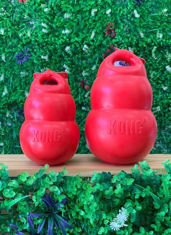 kong bounzer