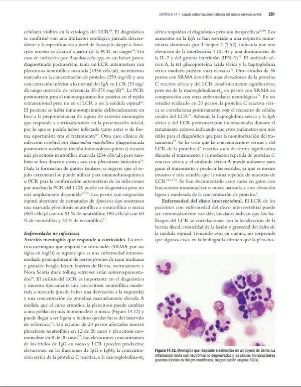 Producto - Cowell: Diagnóstico Citológico y Hematológico del Perro y el Gato, 5ta - 8