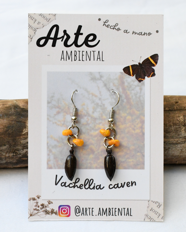 Producto - Aritos de Espinillo