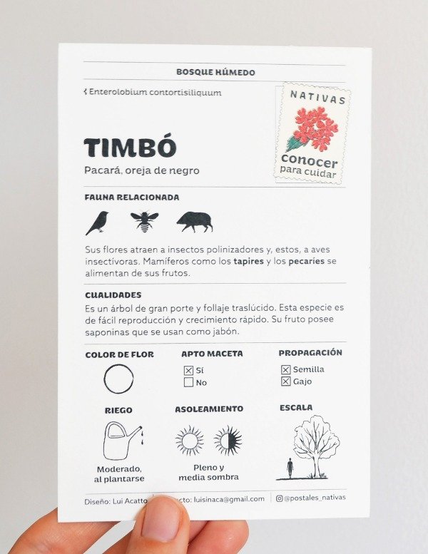 Producto - Postal - Timbó - 1
