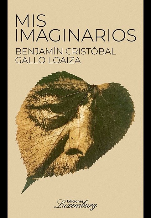 Producto - MIS IMAGINARIOS