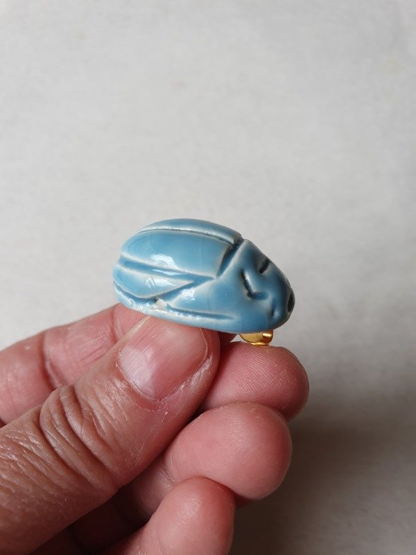 Producto - LUCERO Broche Escarabajo del Cielo - 2