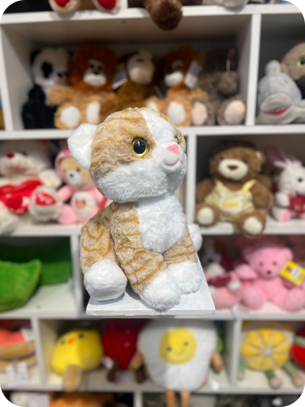 Producto - Gato naranja