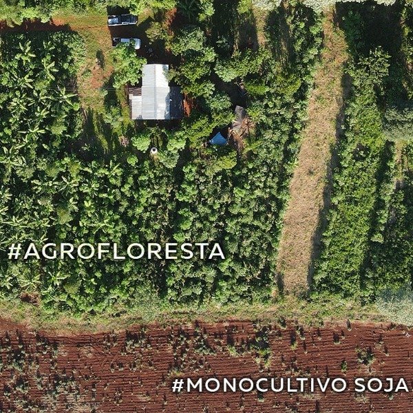 Producto - MONTE NATIVA