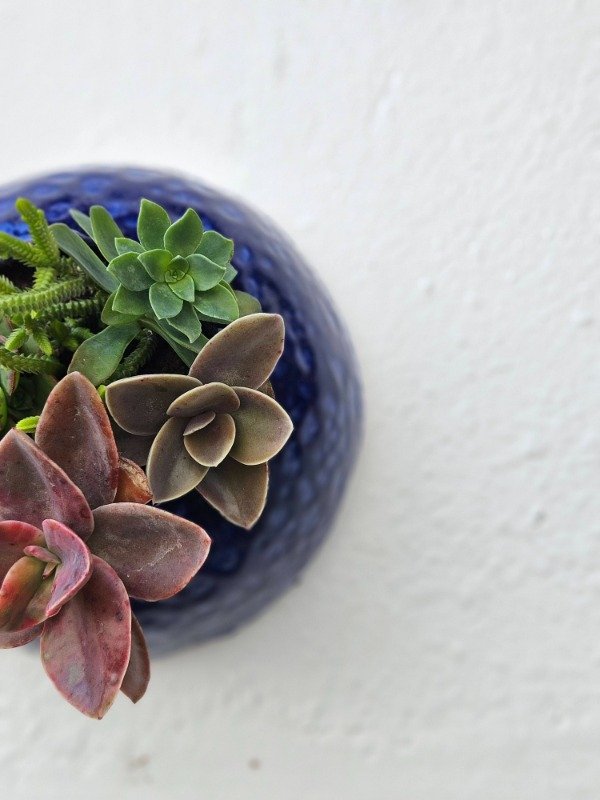 Producto - Maceta semi esfera azul