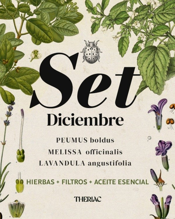 Producto - SET Diciembre (Hierbas, aceite esencial y filtros)