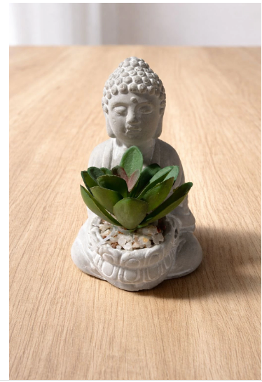 Producto - Mini maceta con Suculenta Buda 7223