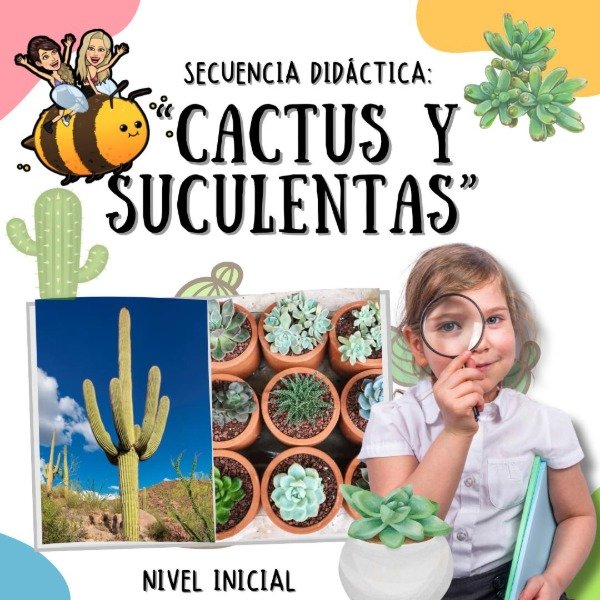 Producto - SECUENCIA DIDÁCTICA. CACTUS Y  SUCULENTAS. NIVEL INICIAL