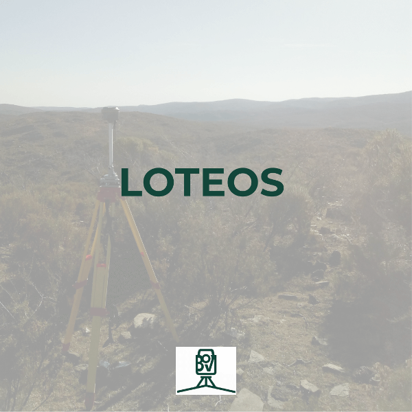 Producto - LOTEOS