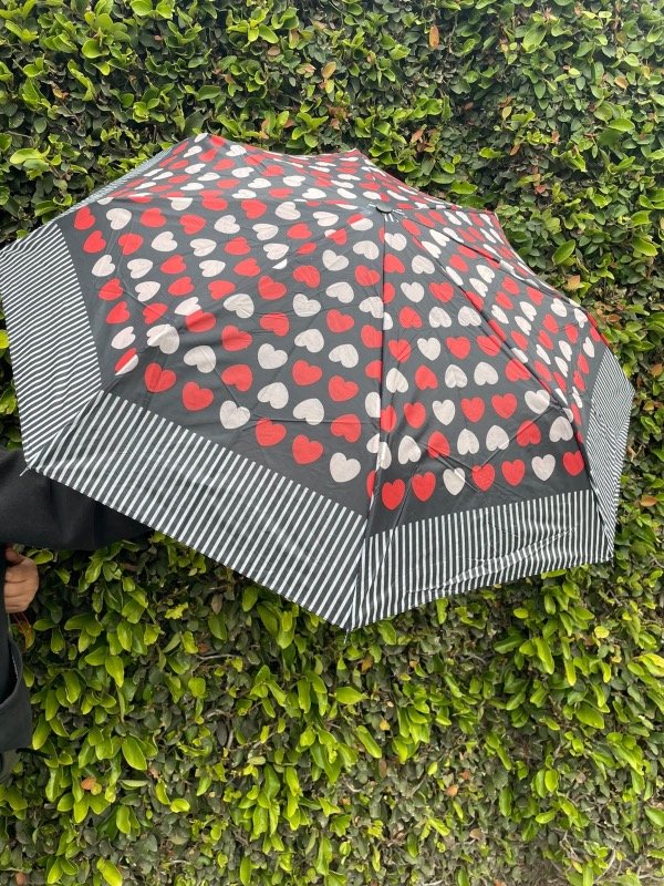 Producto - Paraguas estampados - 2
